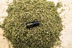 Aceite esencial de orégano doTERRA sobre superficie natural