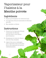 Menta — Energía y claridad mental (mañana) doTERRA