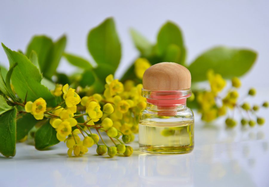 Ylang ylang doterra aceite equilibrio emocional